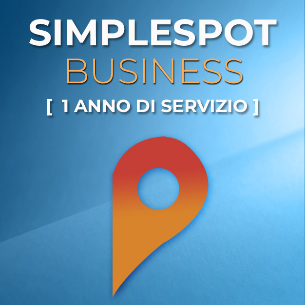 SimpleSpot Business - UN ANNO Di Servizio